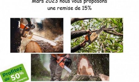 PROMOTION - Élagage et abatage d'arbres à Romans-sur-Isère et les alentours