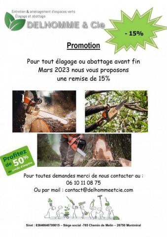 PROMOTION - Élagage et abatage d'arbres à Romans-sur-Isère et les alentours