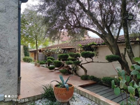 Entretien de jardin de fin d'année Romans-sur-Isère