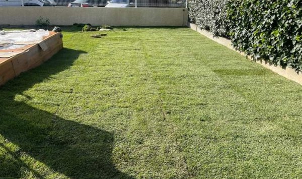 Pose de 130m² de gazon en rouleaux à Tournon-sur-Rhône