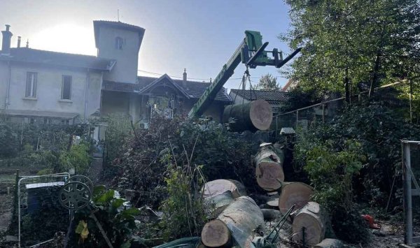 Abattage d'arbre - Romans-sur-Isère - Delhomme et Compagnie