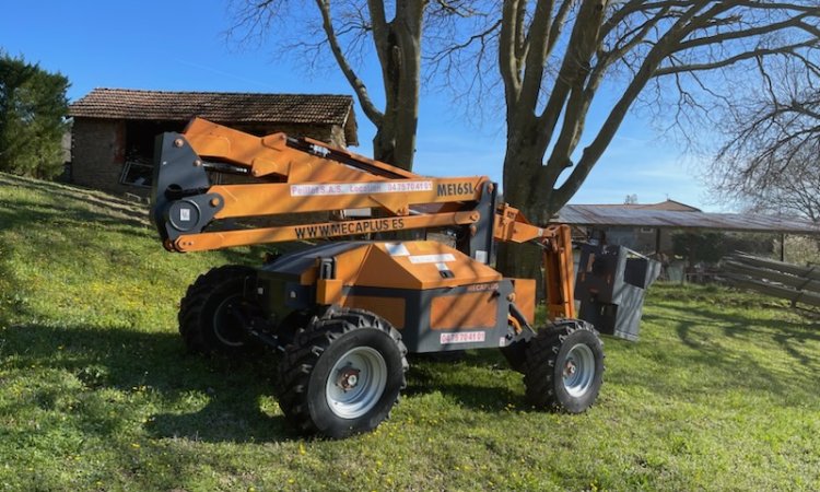 Taillage d'un Micocoulier à Geyssans 