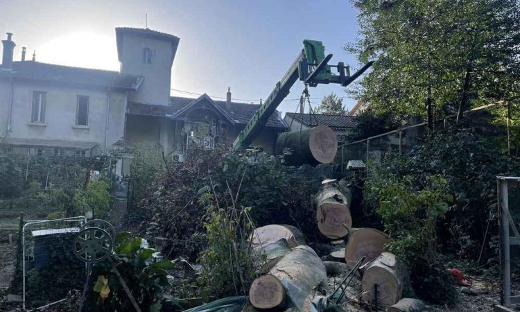 Abattage d'arbre - Romans-sur-Isère - Delhomme et Compagnie