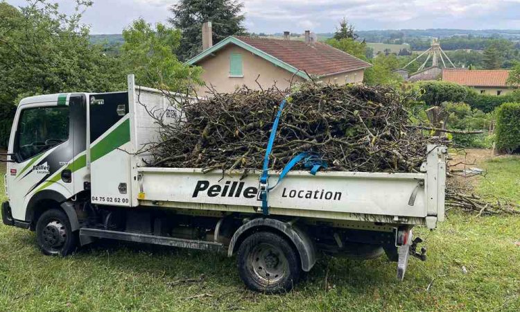 Travaux d'élagage - Romans-sur-Isère - Delhomme et Compagnie