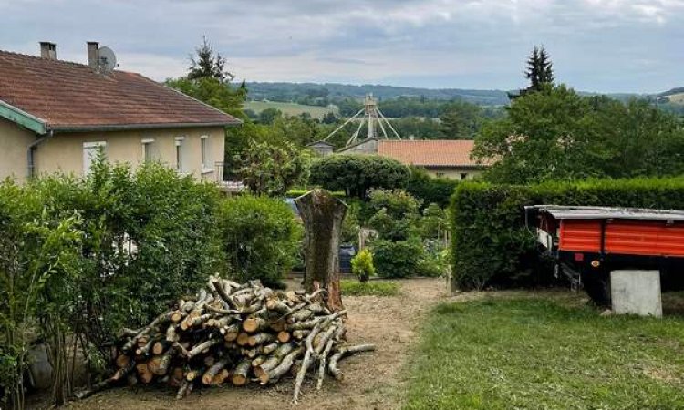 Travaux d'élagage - Romans-sur-Isère - Delhomme et Compagnie