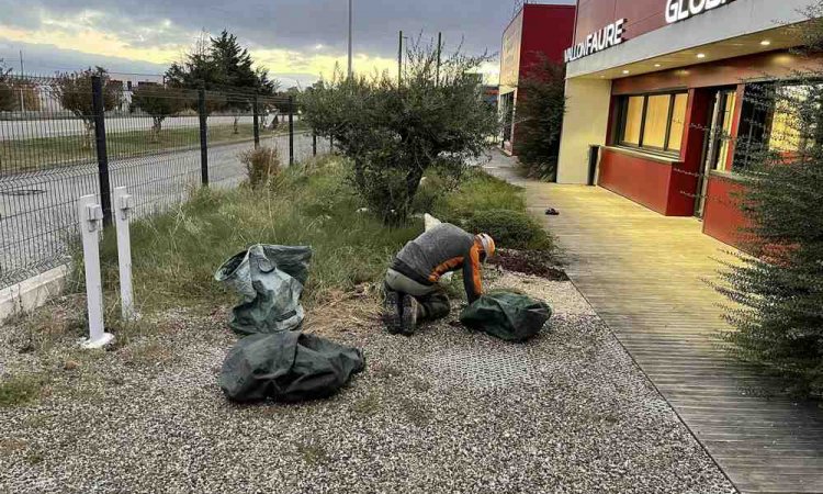 Travaux d'entretien d'espaces verts - Romans-sur-Isère - Delhomme et Compagnie